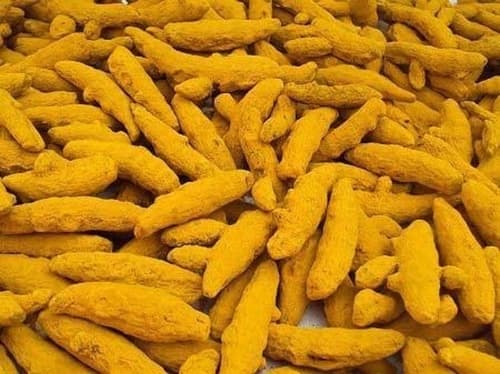 Finger Turmeric (Whole)
