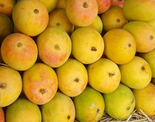 Alphonso (Hapus)