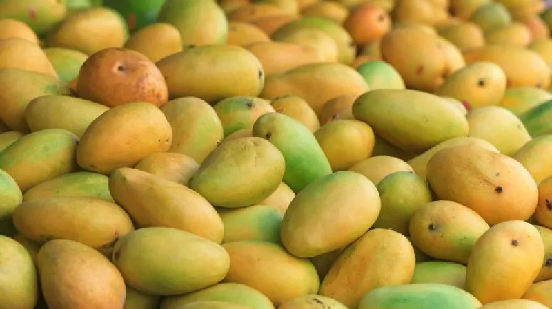 Kesar